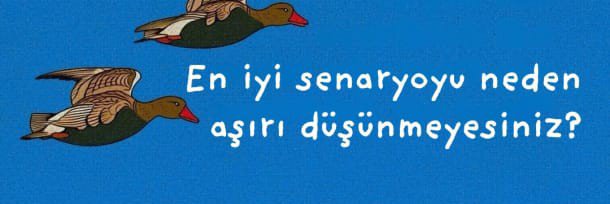 Ebru's banner