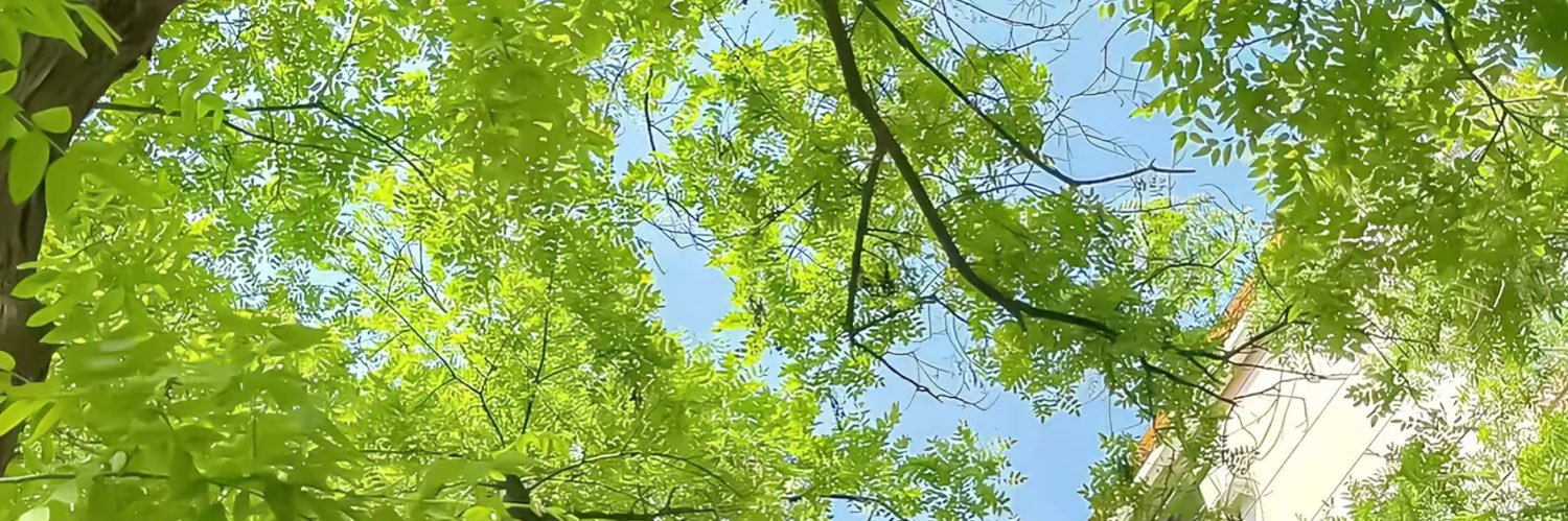小宇大王（互推d）'s banner