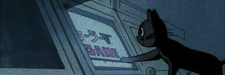 Rayanne's banner