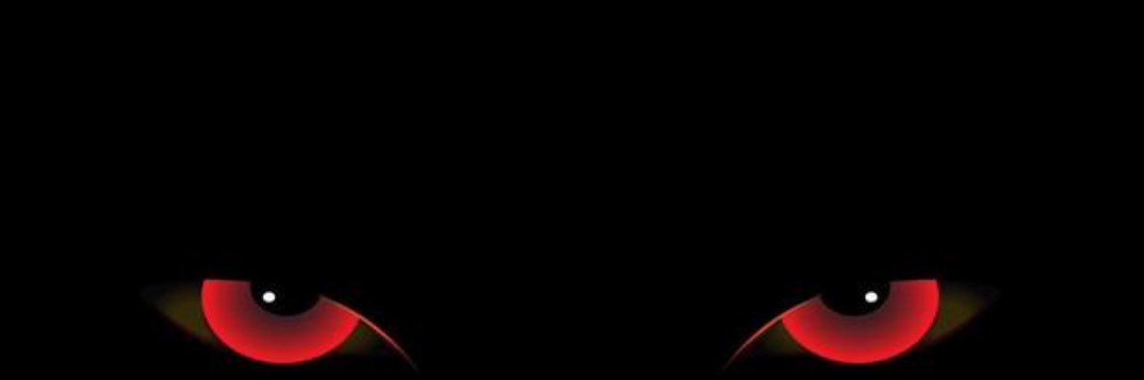 Shady's banner