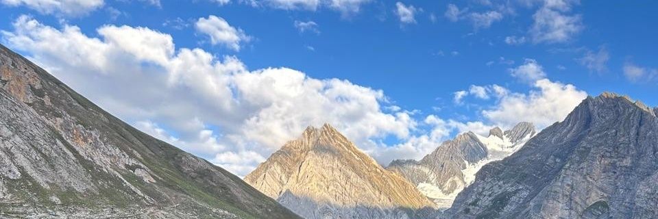 Shivay's banner