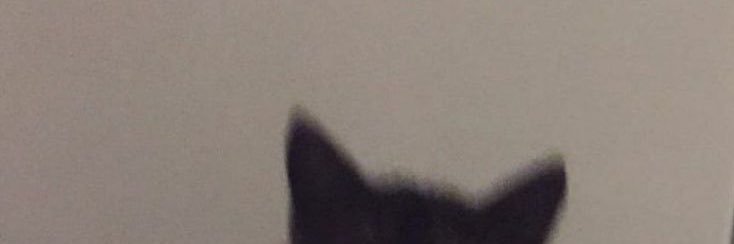 per 🐈‍⬛ྀིྀི's banner