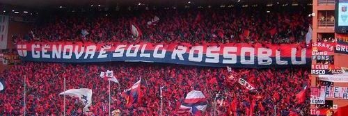 Stefano's banner