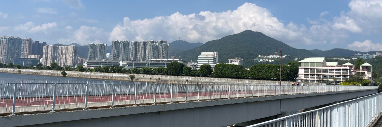 吐露港雙子橋's banner