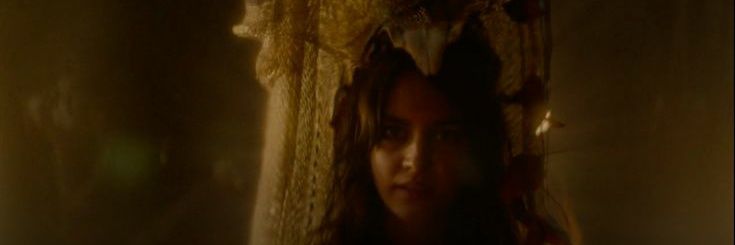 Maxine's banner