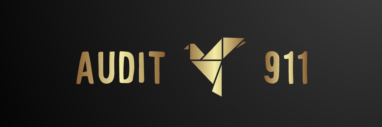audit911's banner