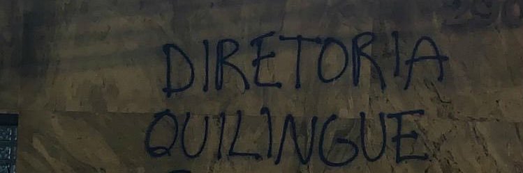 Tamarineira's banner