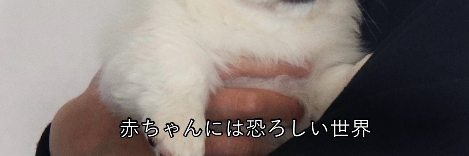 ♡べびちゃん♡'s banner