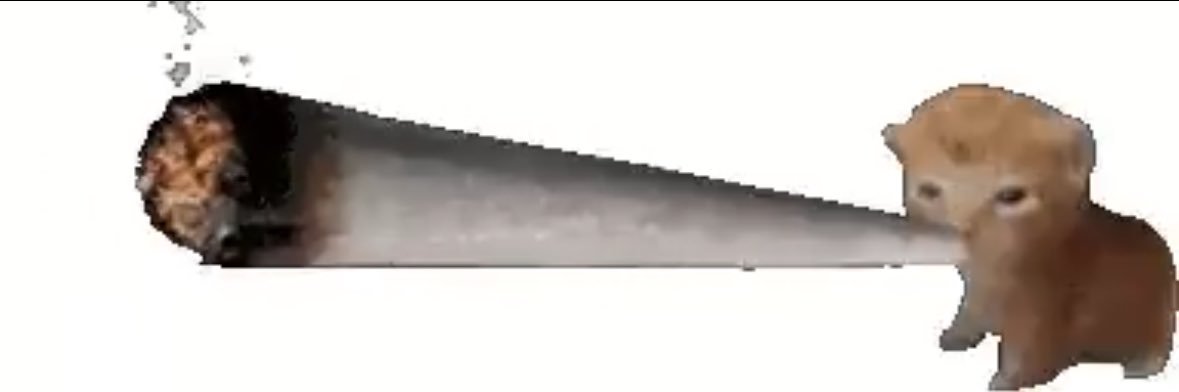 michi's banner