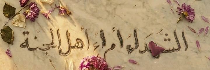 سارة مُرتضى's banner