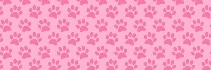 𝓚ᩚ𝓎𝓇𝒶 𐂯's banner
