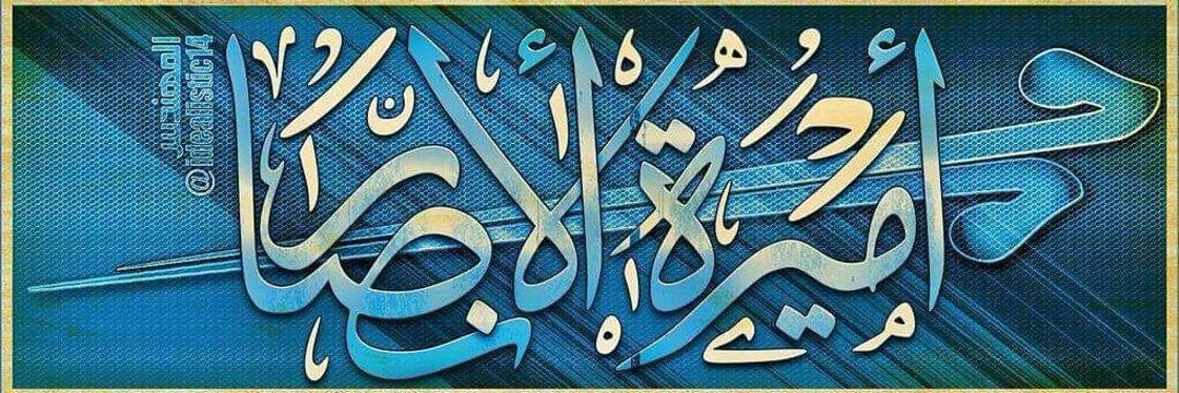 الست الأنصاريه's banner