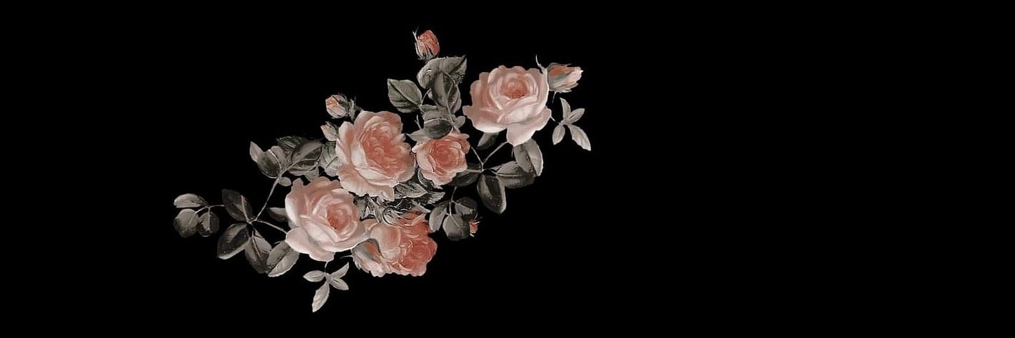 Ⱥɴɴɑ 🌺's banner