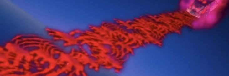 bong2COLA's banner