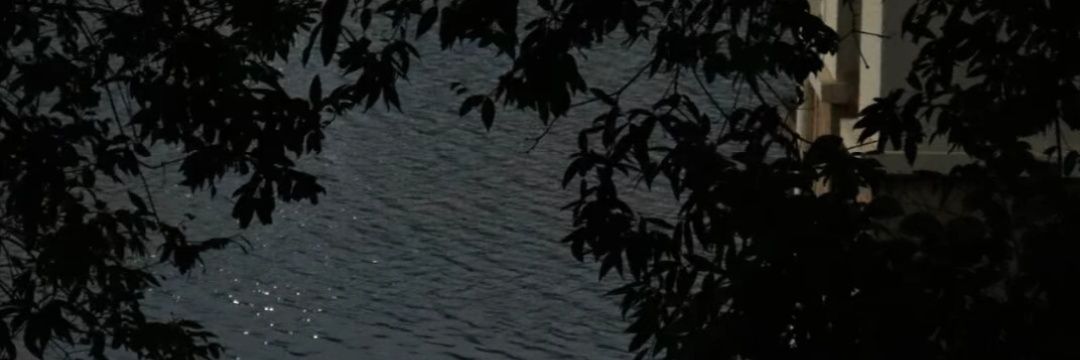 诗施's banner