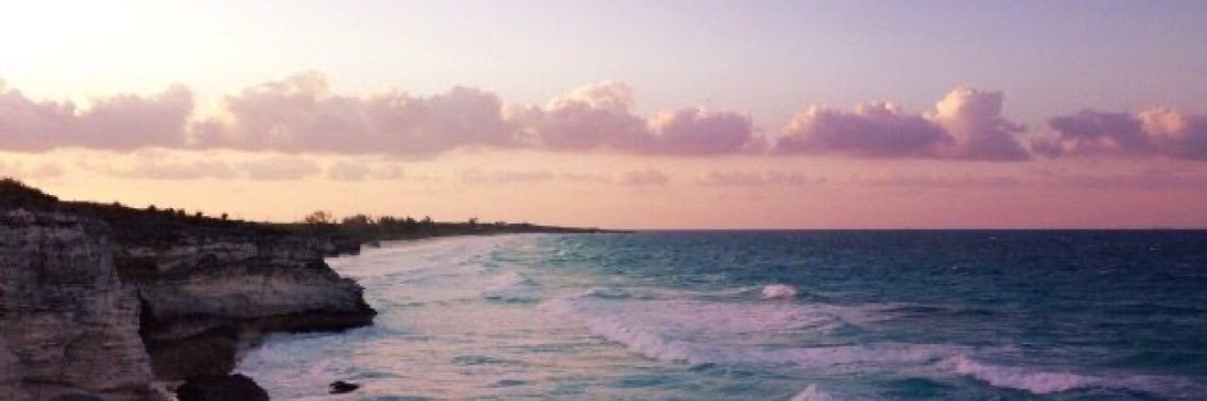 ?'s banner