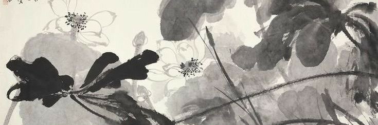 shelby✰'s banner