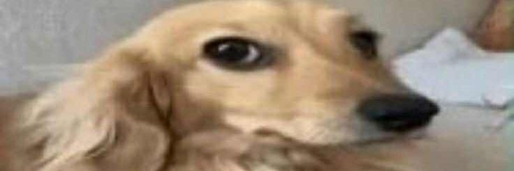 Anny0nXX🗝️'s banner