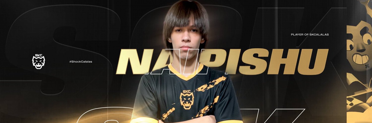 SKC Naipishu's banner