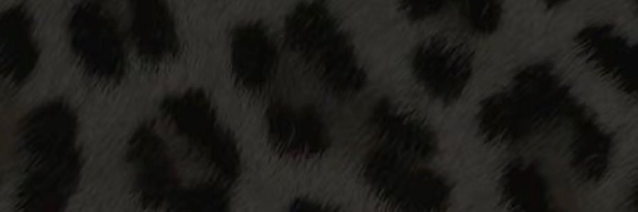KaylaRawrXD's banner