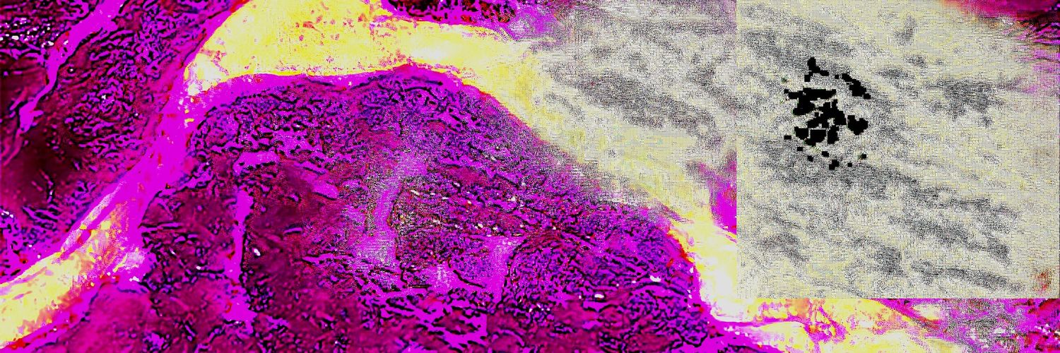 dogmakonha 🍁's banner