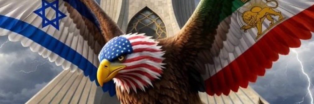 Dav🎗️🇫🇷🇮🇱🇺🇸's banner