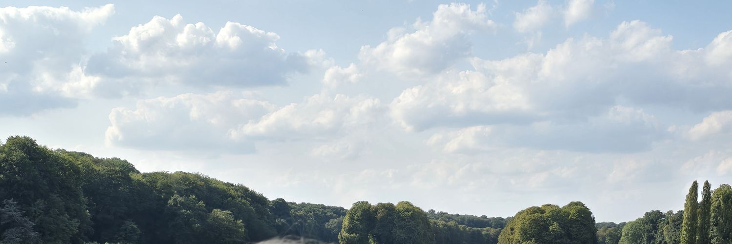Kurvenalarm's banner