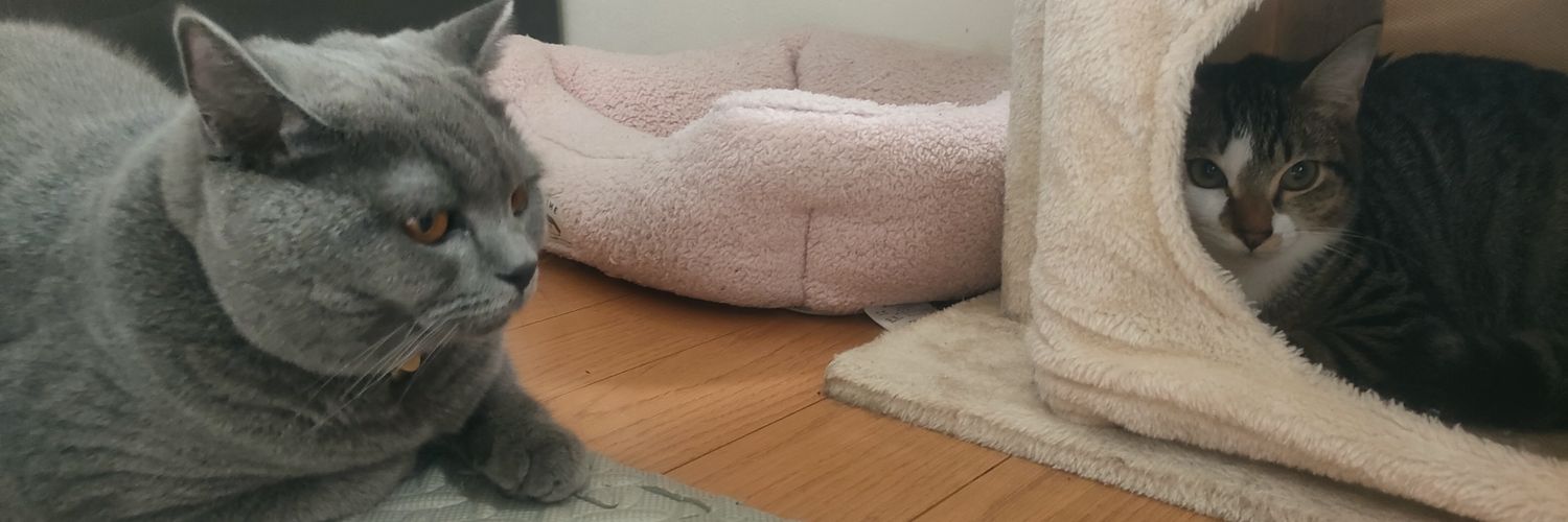 【お休み】ブリ🐾とベル🔔's banner