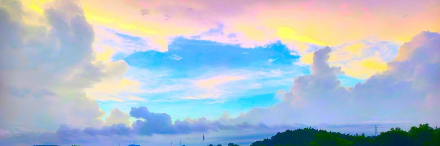 Evelyn（互fo-定期清理）'s banner
