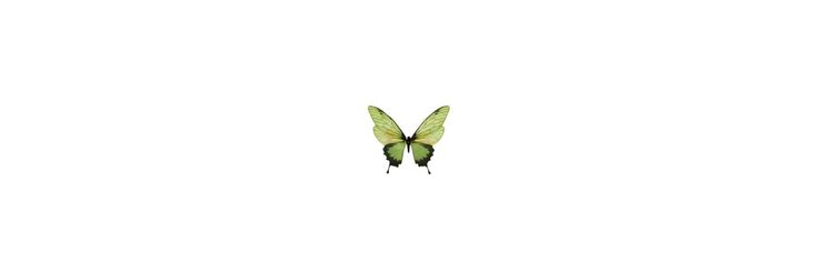 .'s banner
