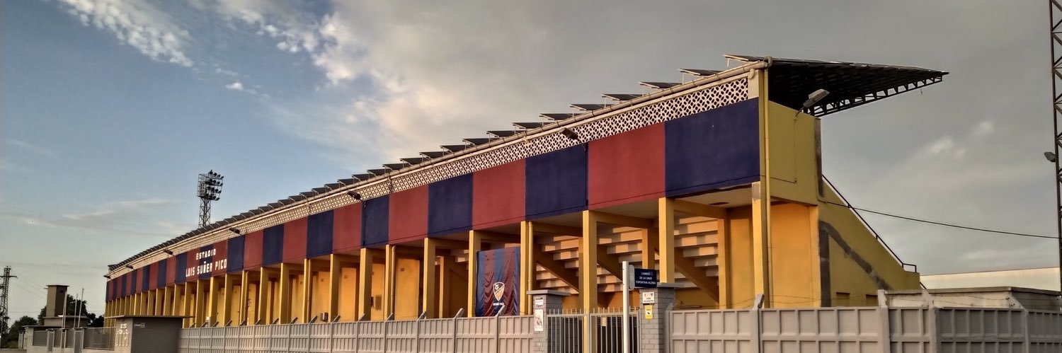 UD Alzira's banner