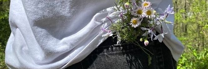 Iyan's banner