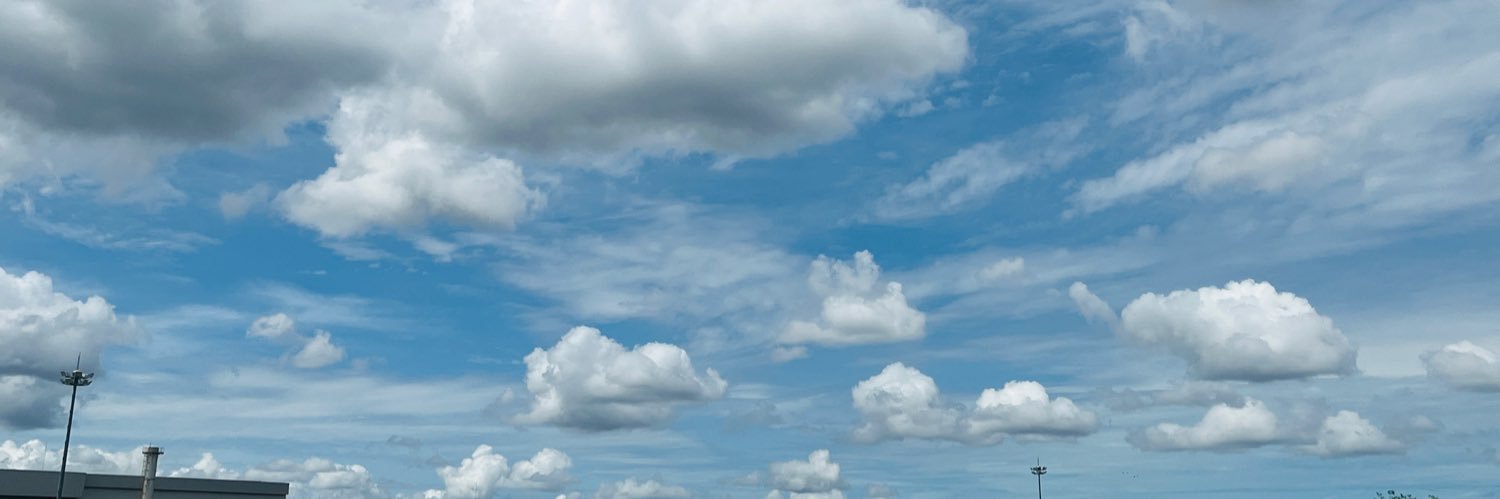 green_sky's banner