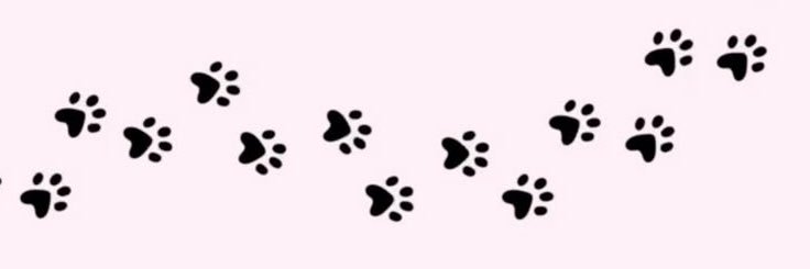mai ₊˚'s banner