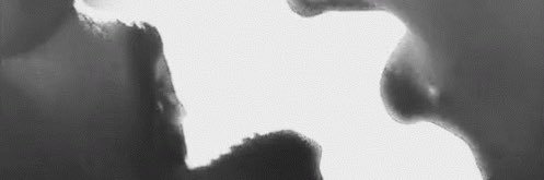 shilla🦋's banner