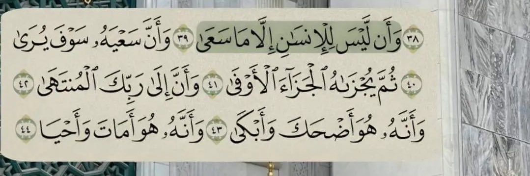 تركي 📊's banner
