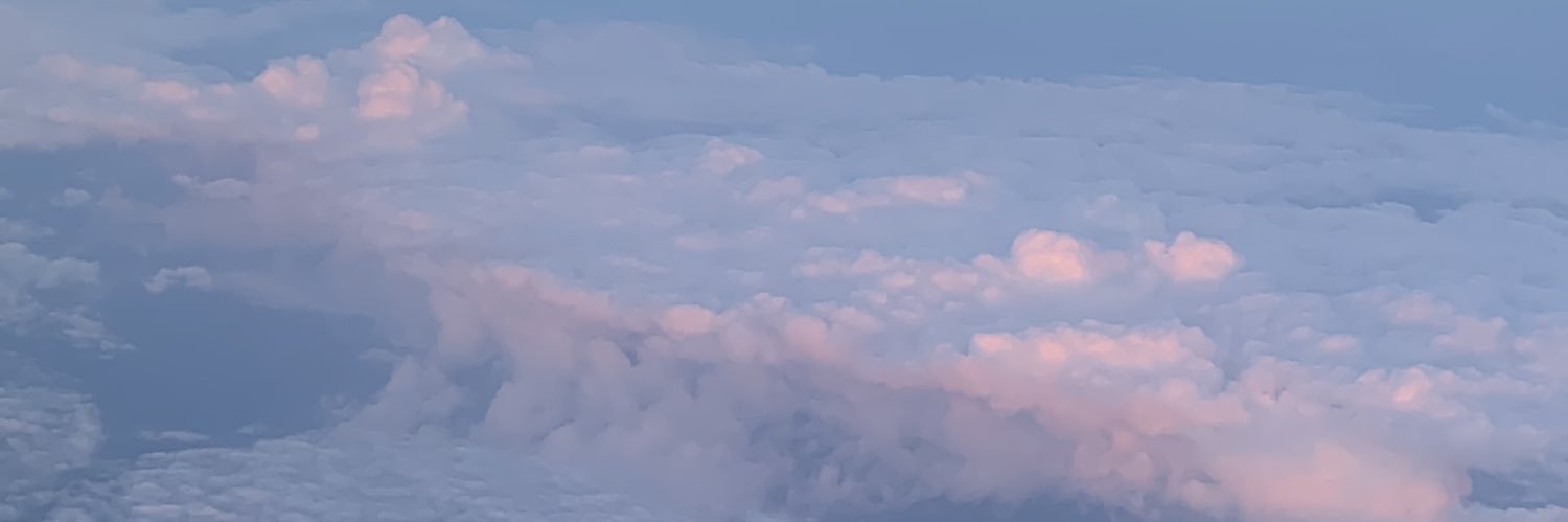 💗 🎄 ❄️'s banner