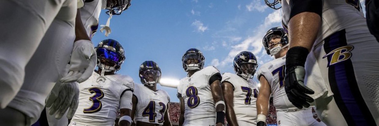 Ravens Flock's banner