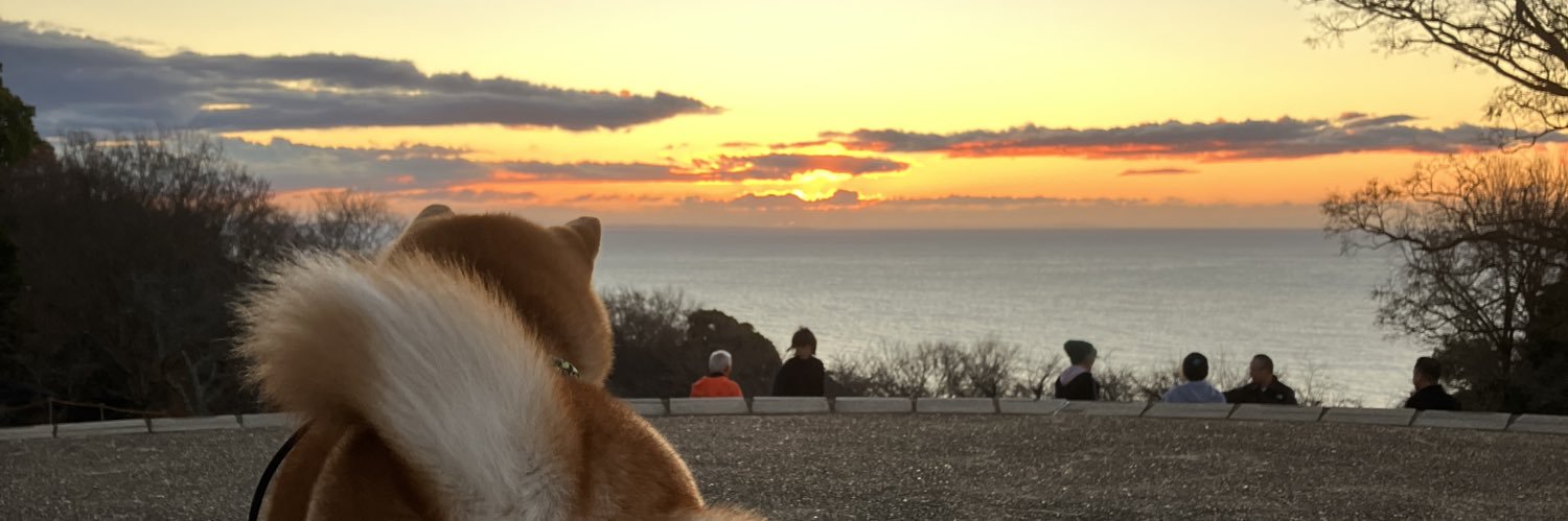 柴犬のココとヨッシーのDIY's banner