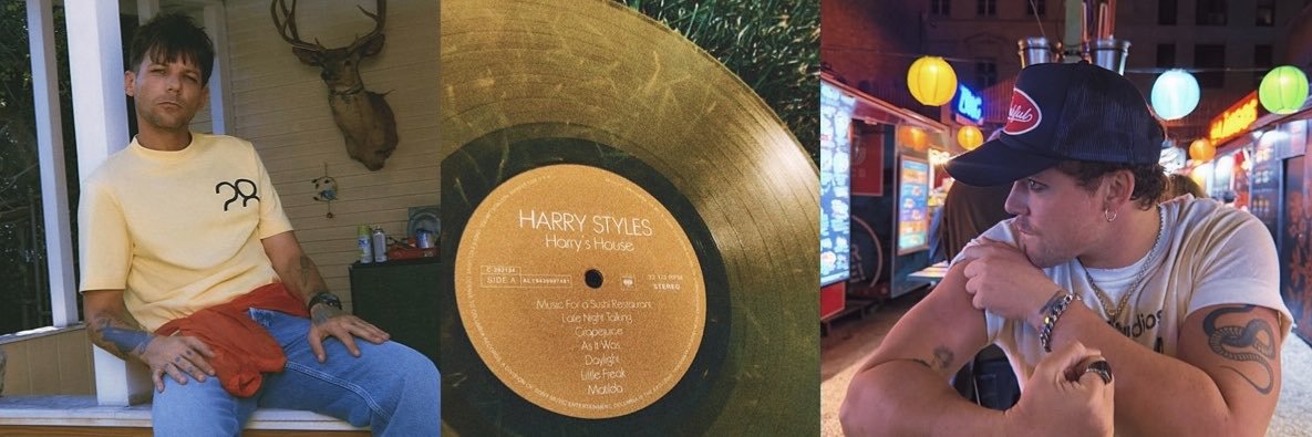 ⋆˚✿˖° esther ❯❯❯❯ ×͜× 卌 misses lou:('s banner