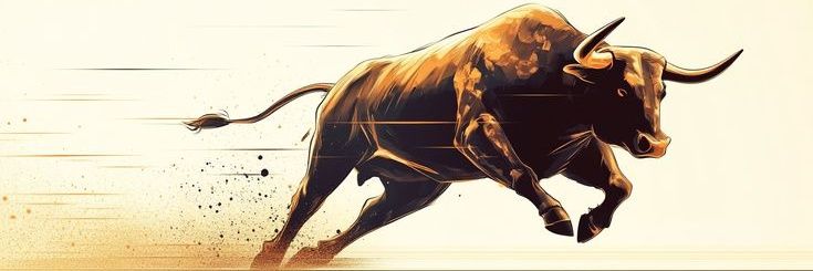 Jay bull's banner