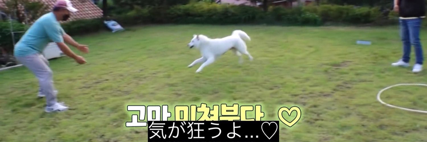 てン's banner