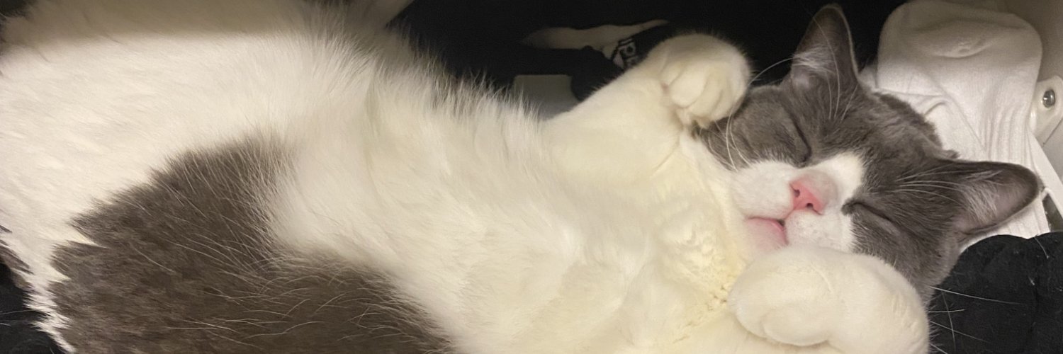misha_awa's banner