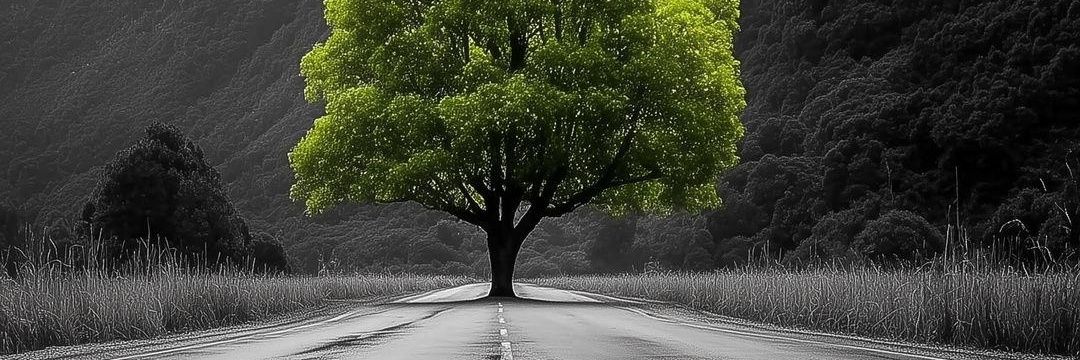 Naveen Rayleigh's banner