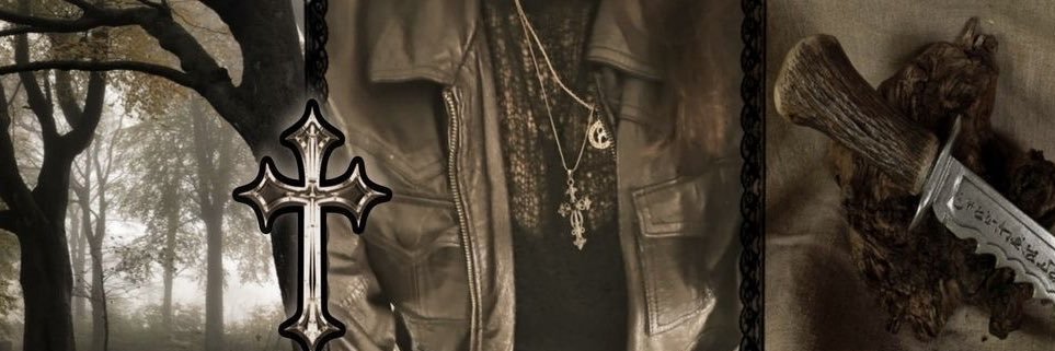 aeve .ᐟ ✶⋆'s banner