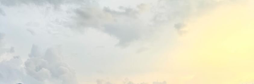pung_pung's banner