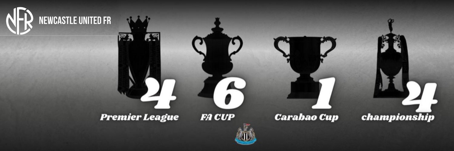 Newcastle 🇫🇷's banner