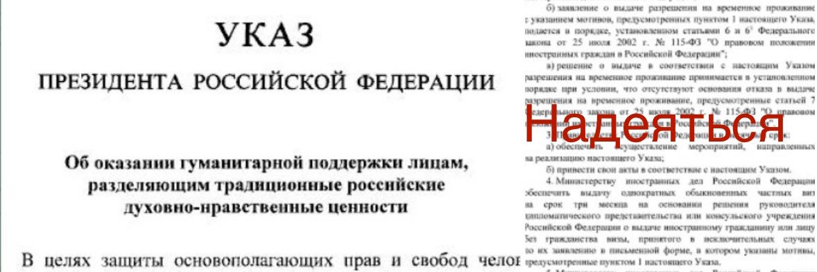 TheRussiaBlog 🇷🇺's banner