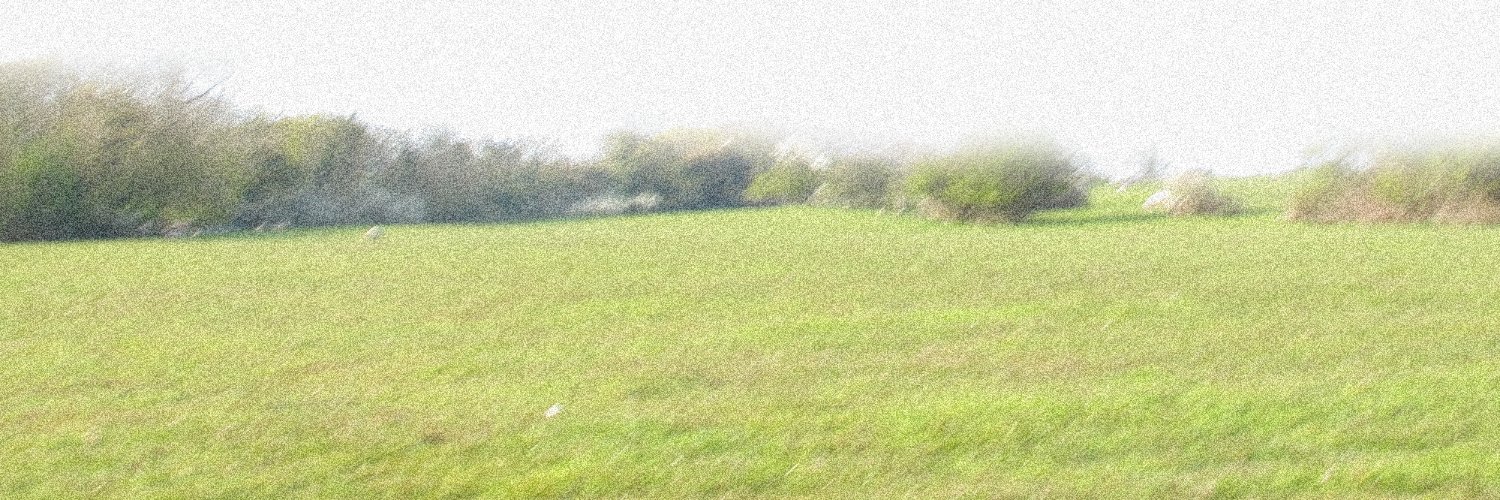 A N G U S R A Z E's banner
