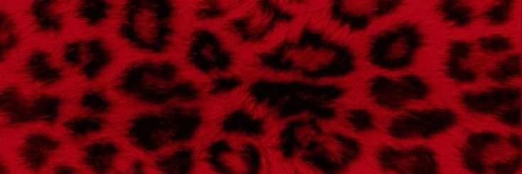duda | ʙʏ ʙɪɴsᴜɴɢ's banner
